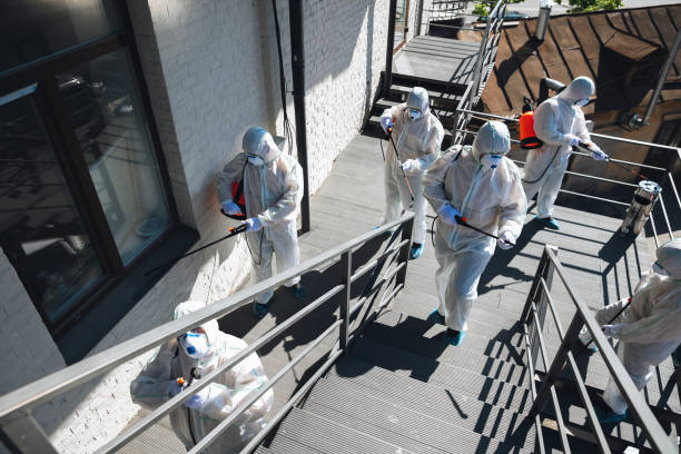 Mold Remediation for Vacation Homes in Overland, MO