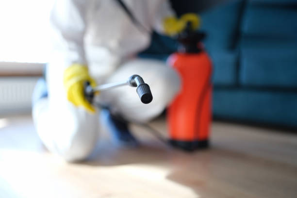 Best Water Damage & Mold Remediation  in Overland, MO